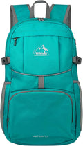 WATERFLY Hiking Foldable Daypack Backpack: 25L Ultra Lightweight Packable Waterproof Outdoor Travel Day Pack for Woman Man