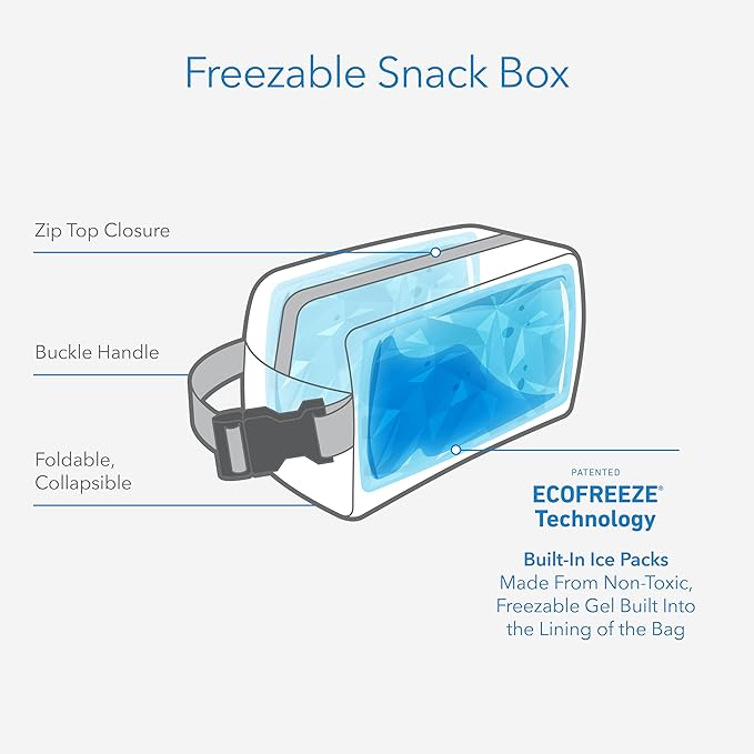 PackIt Freezable Snack Box, Teal, Built with ECOFREEZE Technology, Collapsible, Reusable, Zip Closure with Buckle Handle, Designed For Work Snacks, Fresh Snacks On the Go, Adults, and All Ages