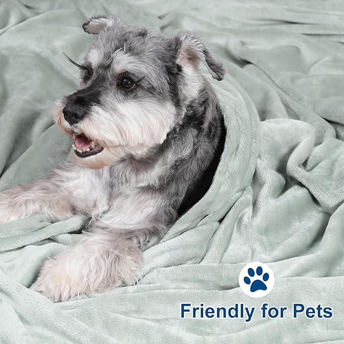 PHF Ultra Soft Fleece Blanket Twin Size, No Shed No Pilling Luxury Plush Cozy 300GSM Lightweight Blanket for Bed, Couch, Chair, Sofa Suitable for All Season, 66" x 90", Sage Green