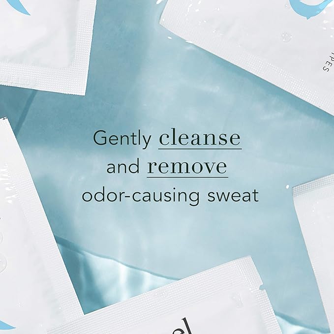 Rael Organic Cotton Wipes - Body Cloth, Individually Wrapped, All Skin Types, Vegan, Cruelty-Free, Unscented (10 Count, Pack of 2)