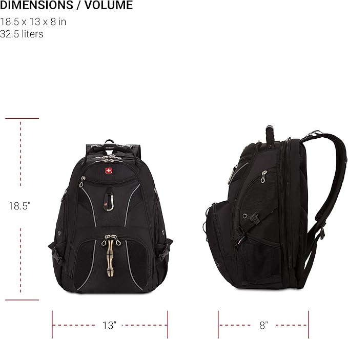 SwissGear 1923 Scansmart Backpack, Black/Silver, 17-Inch